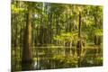 Premium Photographic Print