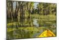 Photographic Print