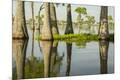 Premium Photographic Print