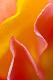 Premium Photographic Print