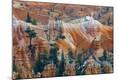 Premium Photographic Print