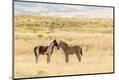 Premium Photographic Print