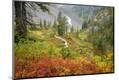 Premium Photographic Print