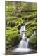 Photographic Print