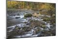 Premium Photographic Print