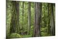 Premium Photographic Print
