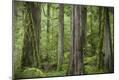 Premium Photographic Print