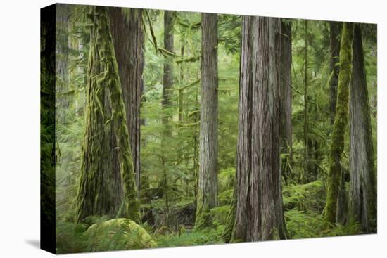 Stretched Canvas Print, , large