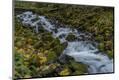 Photographic Print
