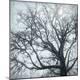 Premium Photographic Print