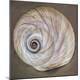 Premium Photographic Print