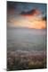 Premium Photographic Print