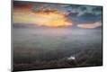 Premium Photographic Print