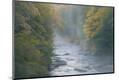 Premium Photographic Print