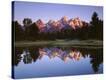 Stretched Canvas Print