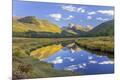 Photographic Print