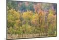 Premium Photographic Print