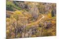 Photographic Print