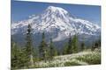 Premium Photographic Print