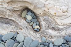 Washington, Olympic National Park. Beach Wood and Pebbles-Jaynes Gallery-Photographic Print