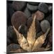 Premium Photographic Print