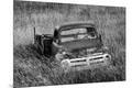 Photographic Print