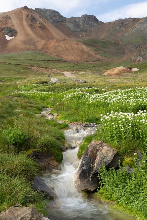 Premium Photographic Print, , large