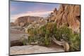 Premium Photographic Print