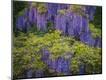 Premium Photographic Print