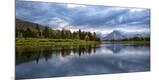Premium Photographic Print