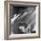 Jazz 1A-Sven Pfrommer-Framed Photographic Print