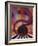 Jazz 2 2012 Abstract, Music-Lee Campbell-Framed Giclee Print