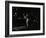 Jazz at the Stables, Wavendon, Buckinghamshire-Denis Williams-Framed Photographic Print