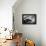 Jazz Composer and Pianist Eddie Heywood at the Piano in His Home on Martha's Vineyard-Alfred Eisenstaedt-Framed Premier Image Canvas displayed on a wall