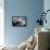 Jazz Composer and Pianist Eddie Heywood at the Piano in His Home on Martha's Vineyard-Alfred Eisenstaedt-Framed Premier Image Canvas displayed on a wall