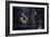 Jazz Mood-Vito Guarino-Framed Photographic Print