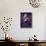 Jazz Musican, Miles Davis-Robert W^ Kelley-Framed Premier Image Canvas displayed on a wall