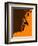 Jazz Orange-NaxArt-Framed Art Print