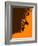 Jazz Orange-NaxArt-Framed Art Print