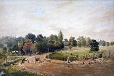 Court Lane and Lordship Lane, Dulwich, London, 1860-JC Mandy-Premier Image Canvas