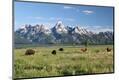 Photographic Print