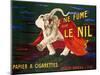 Je ne fume que Le Nil, 1912-Leonetto Cappiello-Mounted Art Print