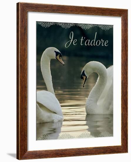 Je t'Adore-Robert Harding-Framed Art Print