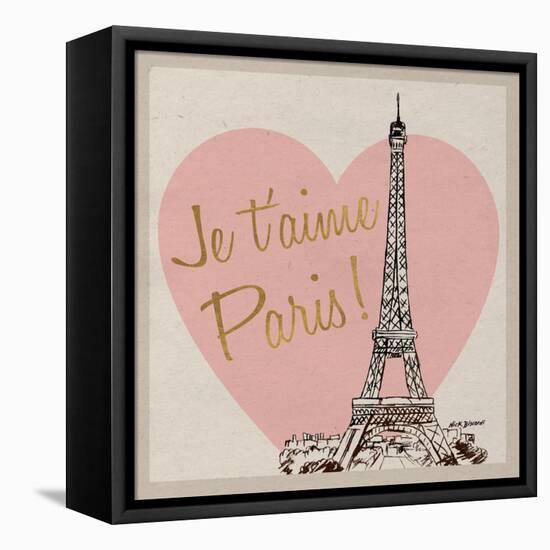 Je t'aime Paris!-Nicholas Biscardi-Framed Stretched Canvas