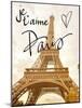 Je t'aime Paris-Emily Navas-Mounted Art Print