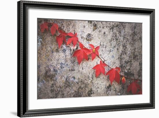 Jealousy-Philippe Sainte-Laudy-Framed Photographic Print