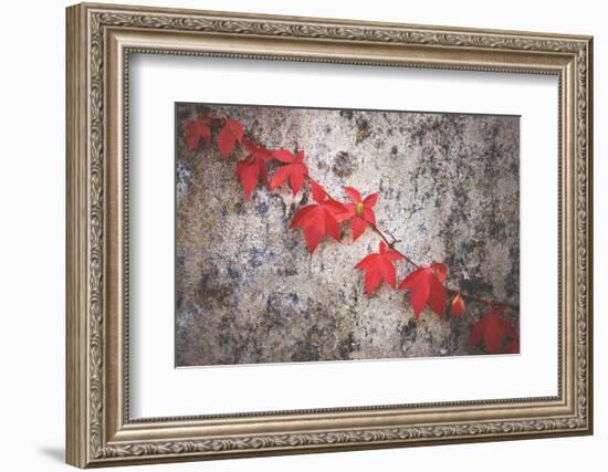 Jealousy-Philippe Sainte-Laudy-Framed Photographic Print