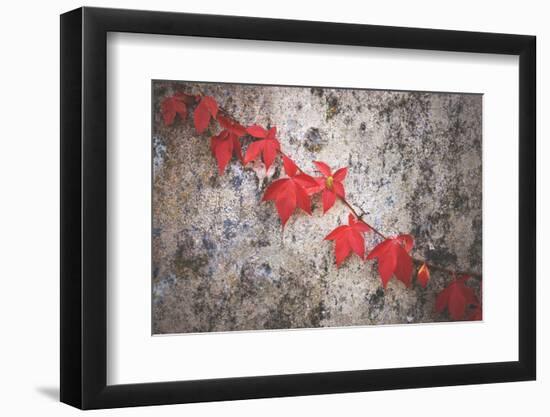 Jealousy-Philippe Sainte-Laudy-Framed Photographic Print