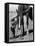 Jean Anne Evans, 14 Month Old Texas Girl Kissing Her Horse-Allan Grant-Framed Premier Image Canvas