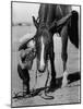 Jean Anne Evans, 14 Month Old Texas Girl Kissing Her Horse-Allan Grant-Mounted Photographic Print